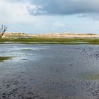 Drachenwiese unter Wasser 