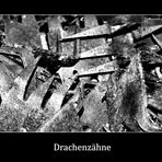 Drachenzähne