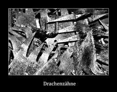 Drachenzähne