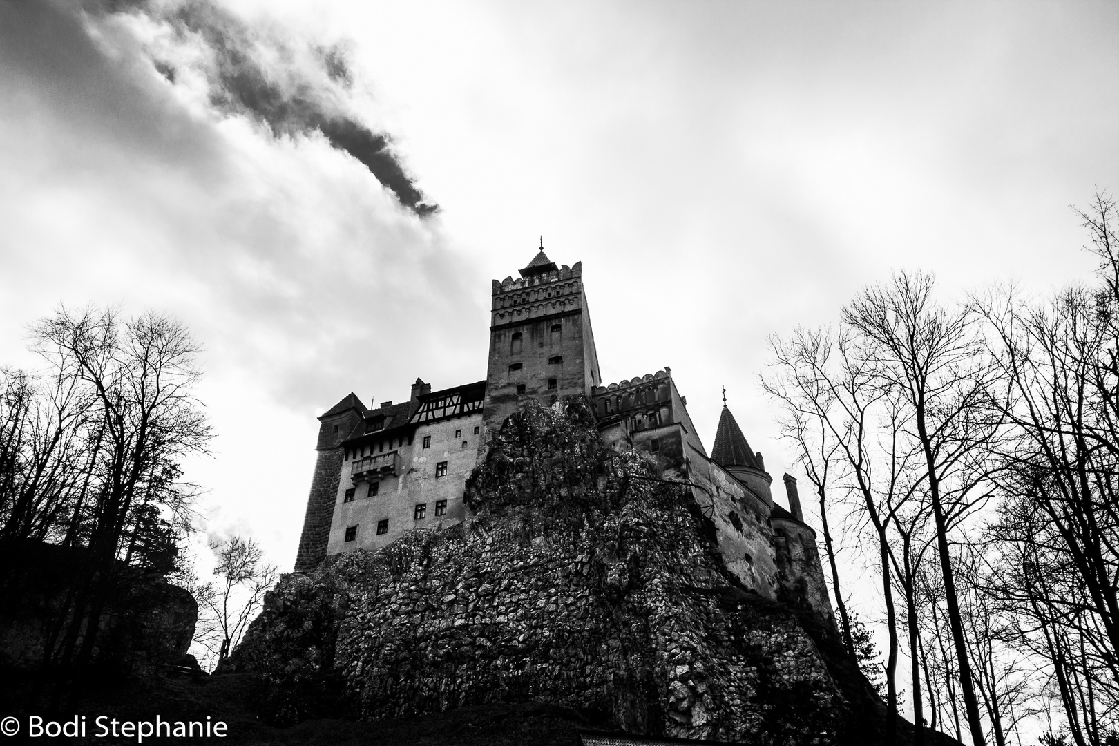 Dracula's Castle