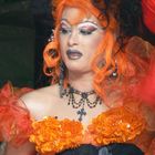 Drag Queen II