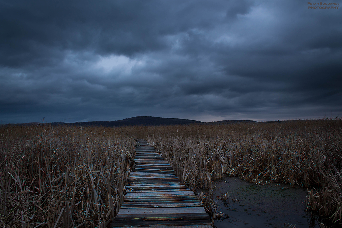 dragoman marsh