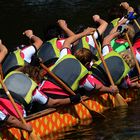 Dragon Boat