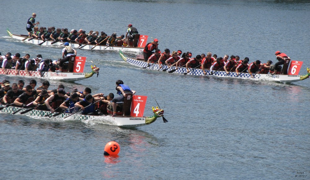 Dragon Boats in Action (2)