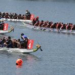 Dragon Boats in Action (2)