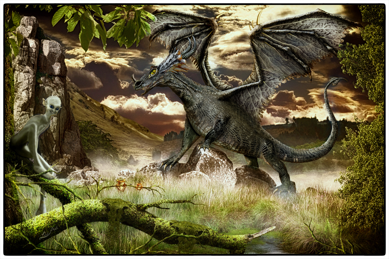 Dragon, Drachen