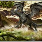 Dragon, Drachen