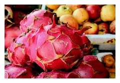 Dragon Fruit