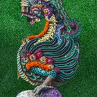 Dragon on two balls