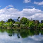 Dragon Pool Pano