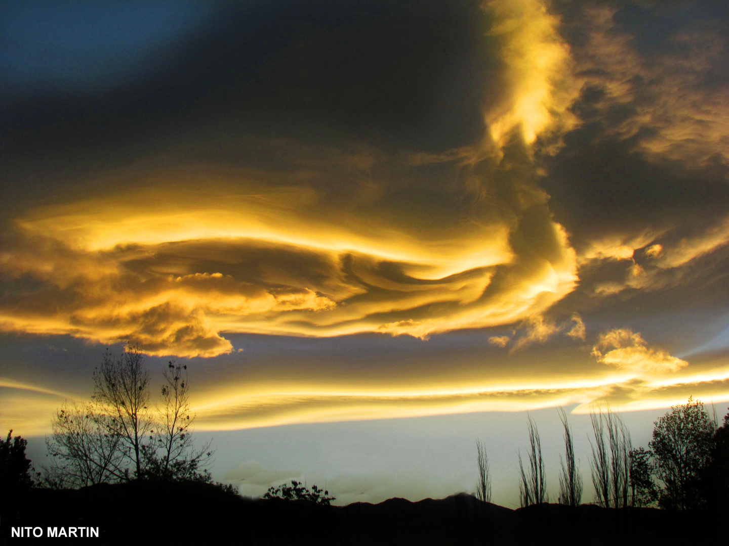 Dragones del cielo