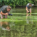 dragonfly hunters @work