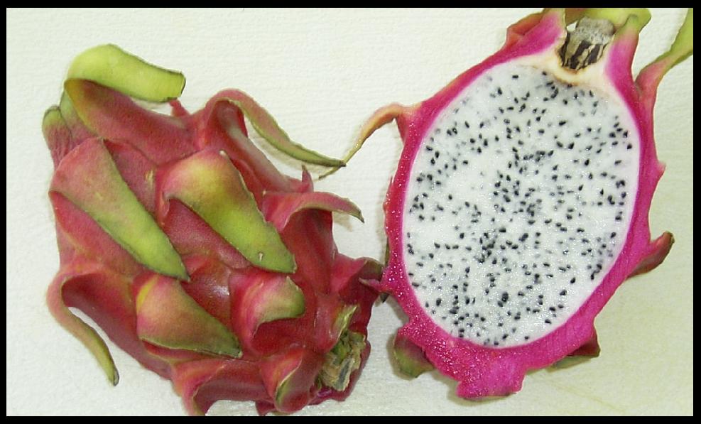 Dragonfruit