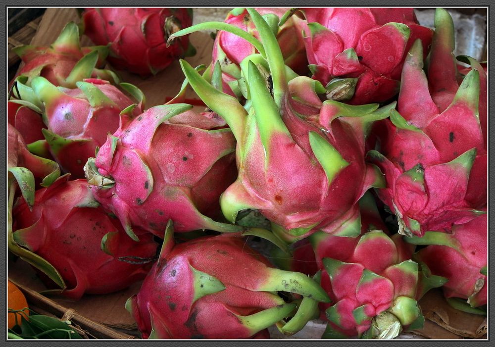 Dragonfruit oder Pitahaya