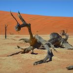 Namibia 2013