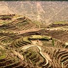 Dragon´s Backbone Ricefields