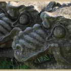 Dragons Heads at Wallington