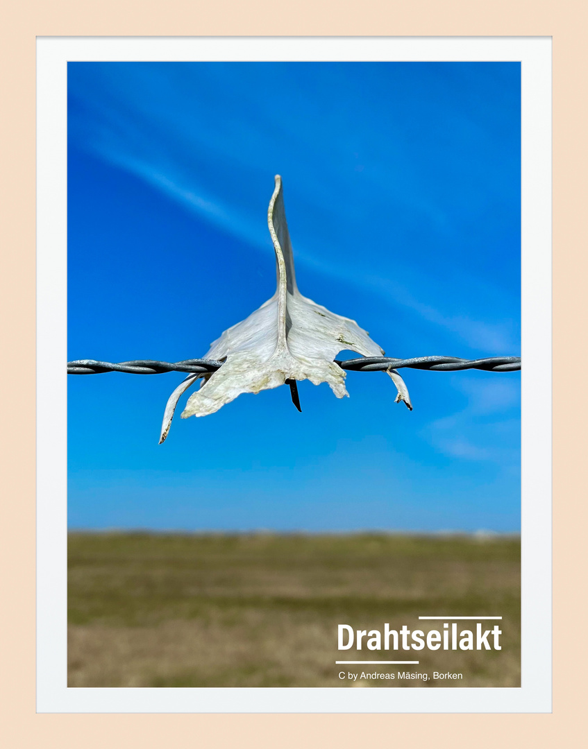 Drahtseilakt