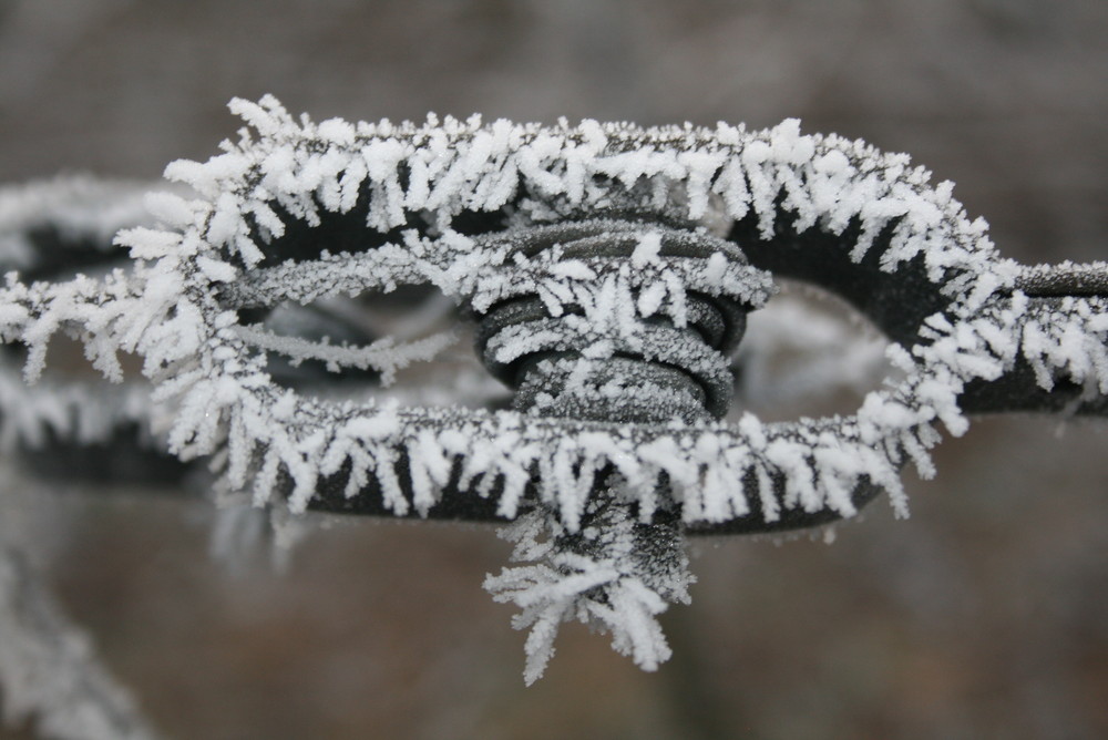 Drahtspanner im Weinberg