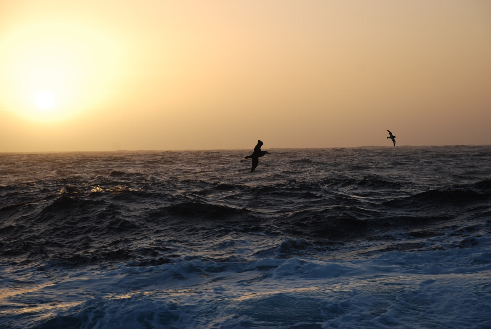 Drake Passage