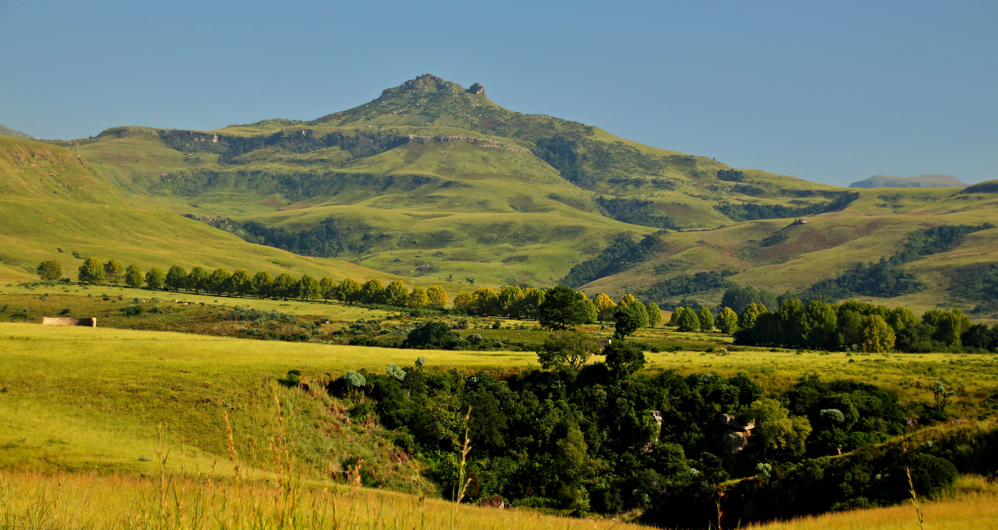 Drakensberge