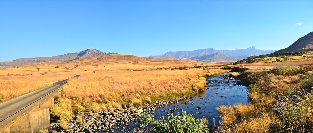 Drakensberge