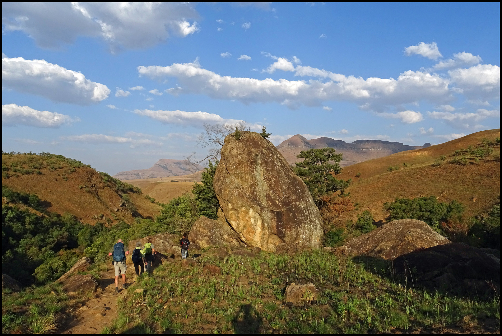 Drakensberge