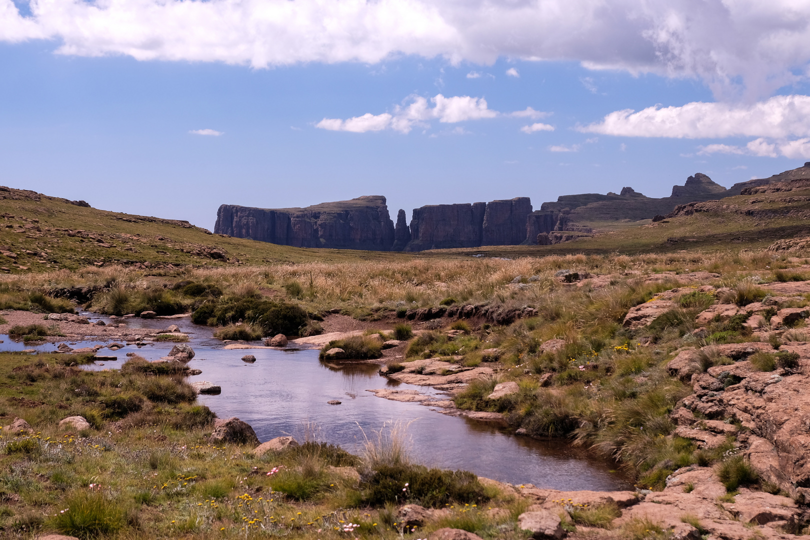 Drakensberge