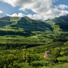 Drakensberge, Royal Natal Nationalpark