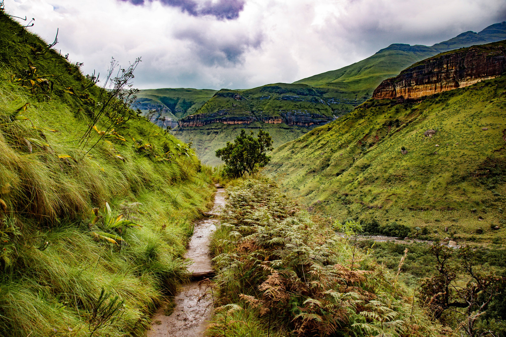 Drakensberge Südafrika