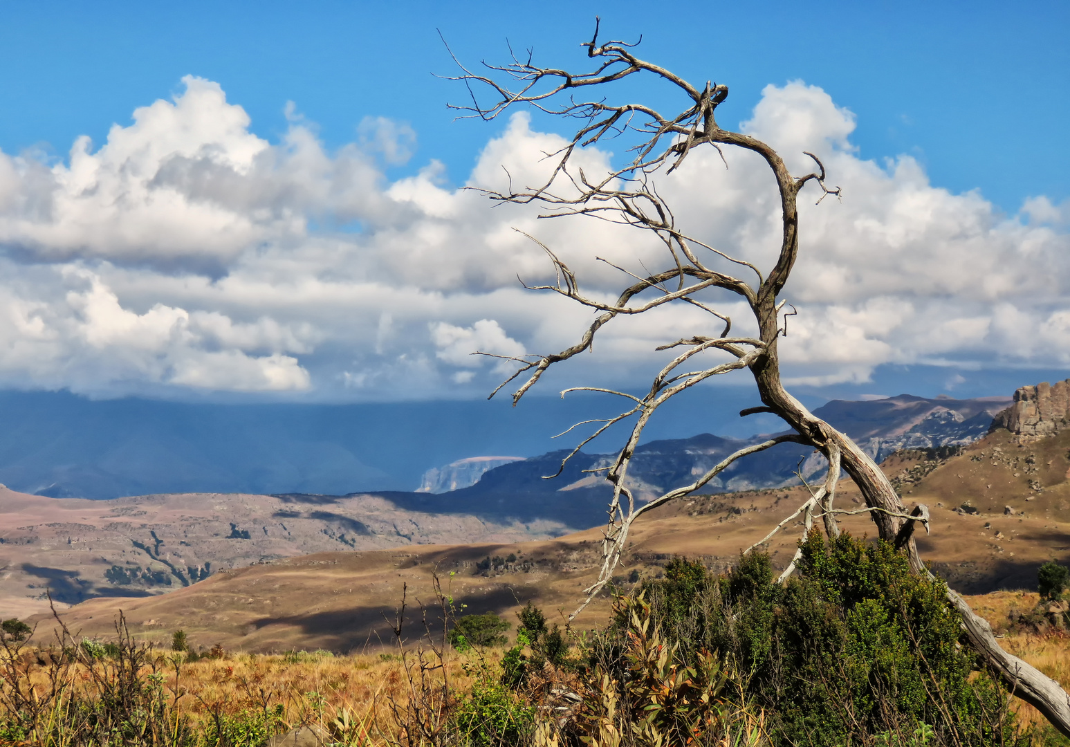 Drakensberge_4815