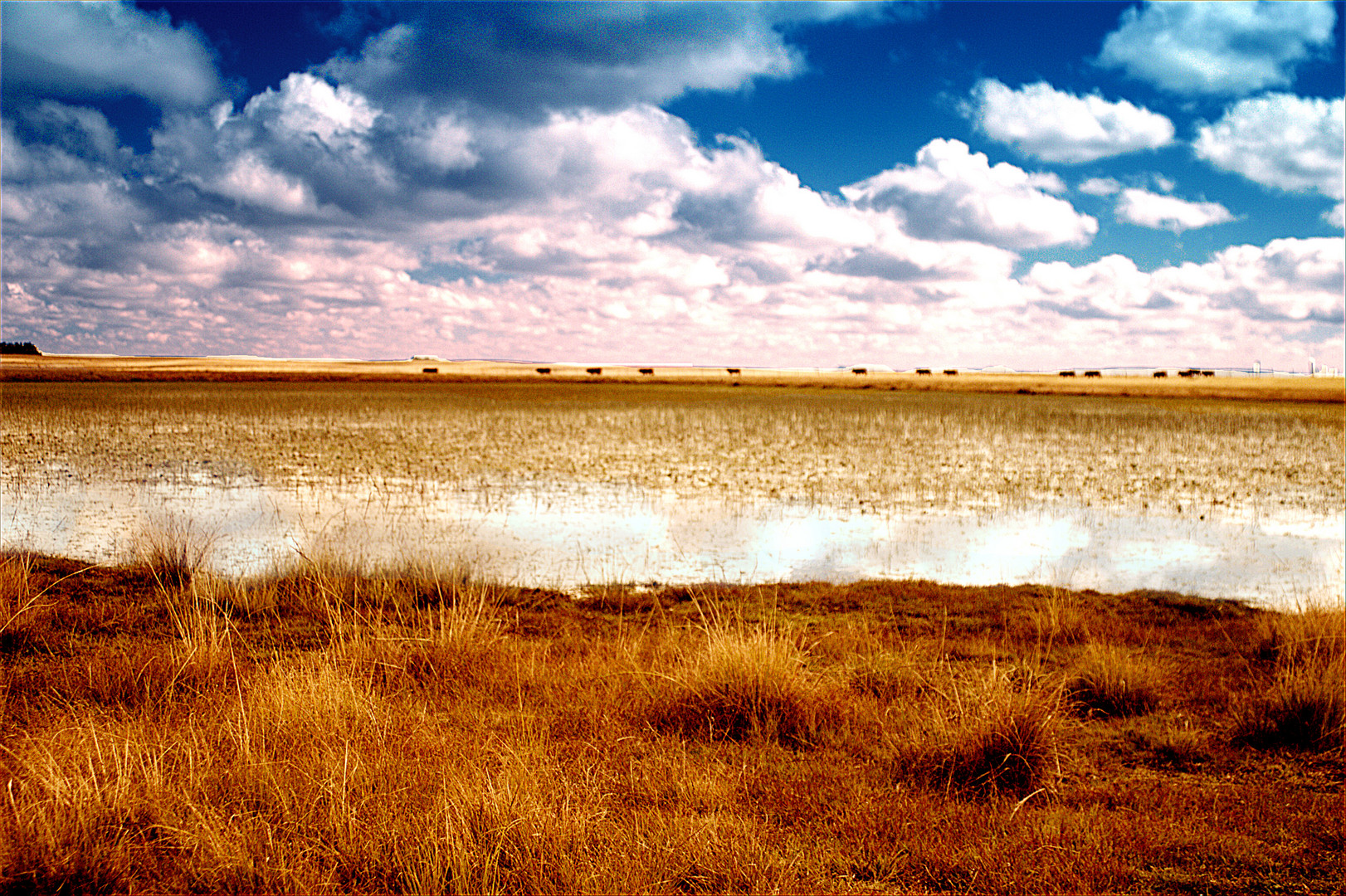 Drakensburg Winter Scene