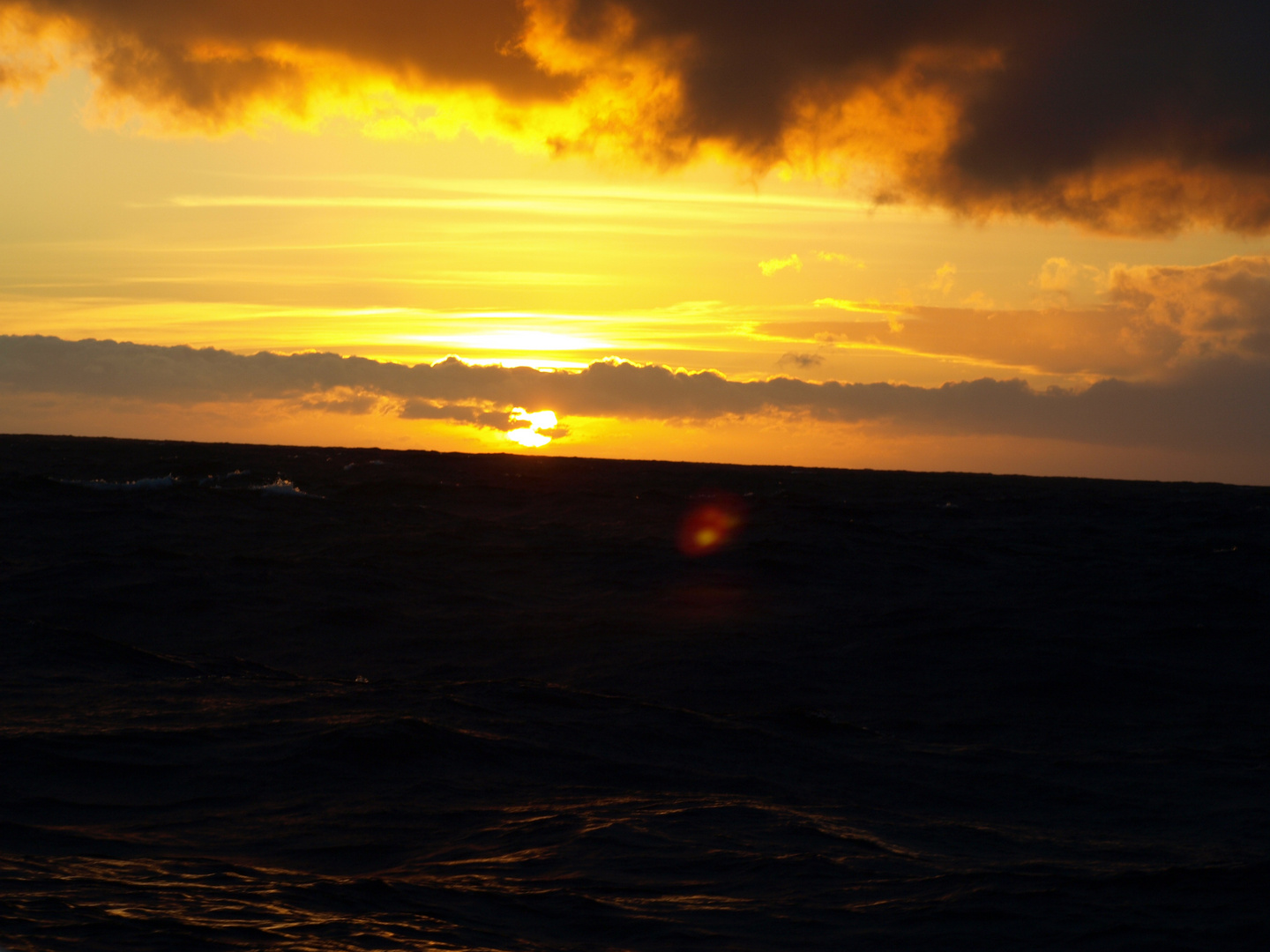 Drakepassage fast In der Antarktis