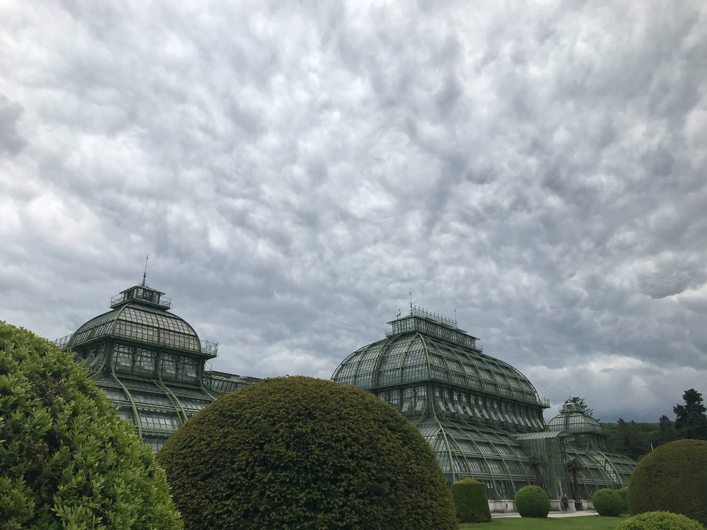 Drama über dem Palmenhaus