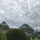 Drama über dem Palmenhaus