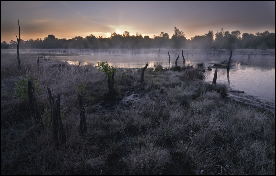 Dramatic morning