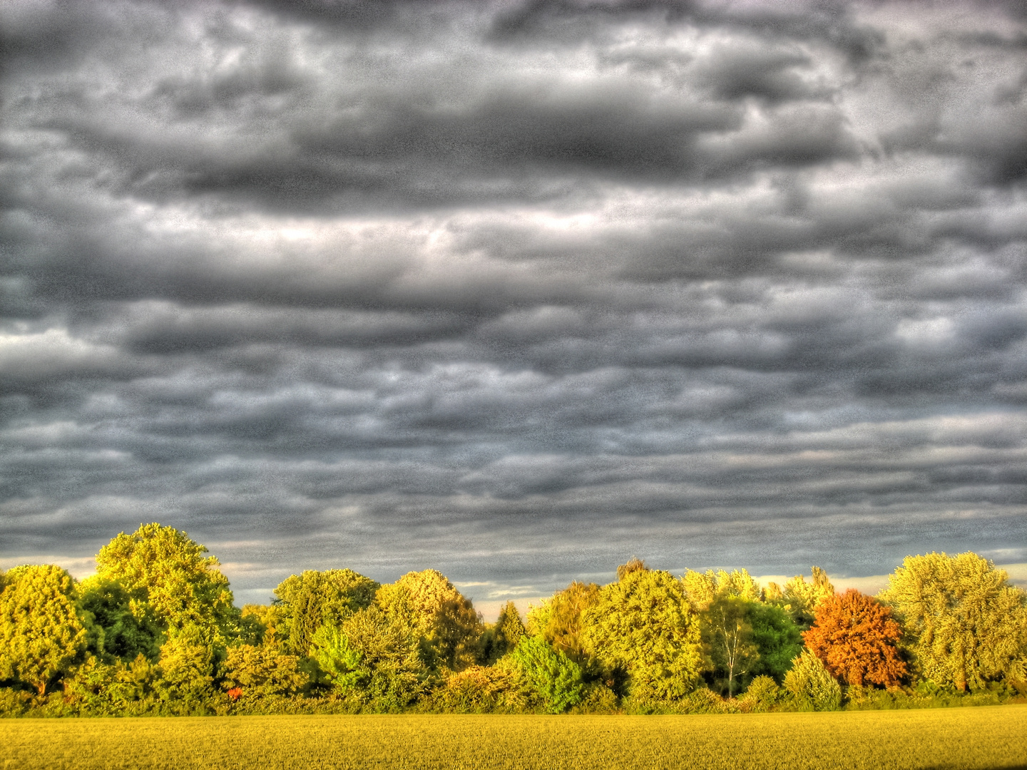 dramatic sky