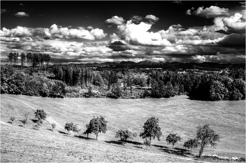 Dramatic Sky II (Württ. Allgäu, Mai 2009)