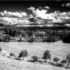 Dramatic Sky II (Württ. Allgäu, Mai 2009)