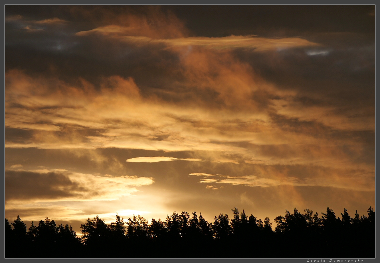 Dramatic sky over the taiga