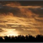 Dramatic sky over the taiga