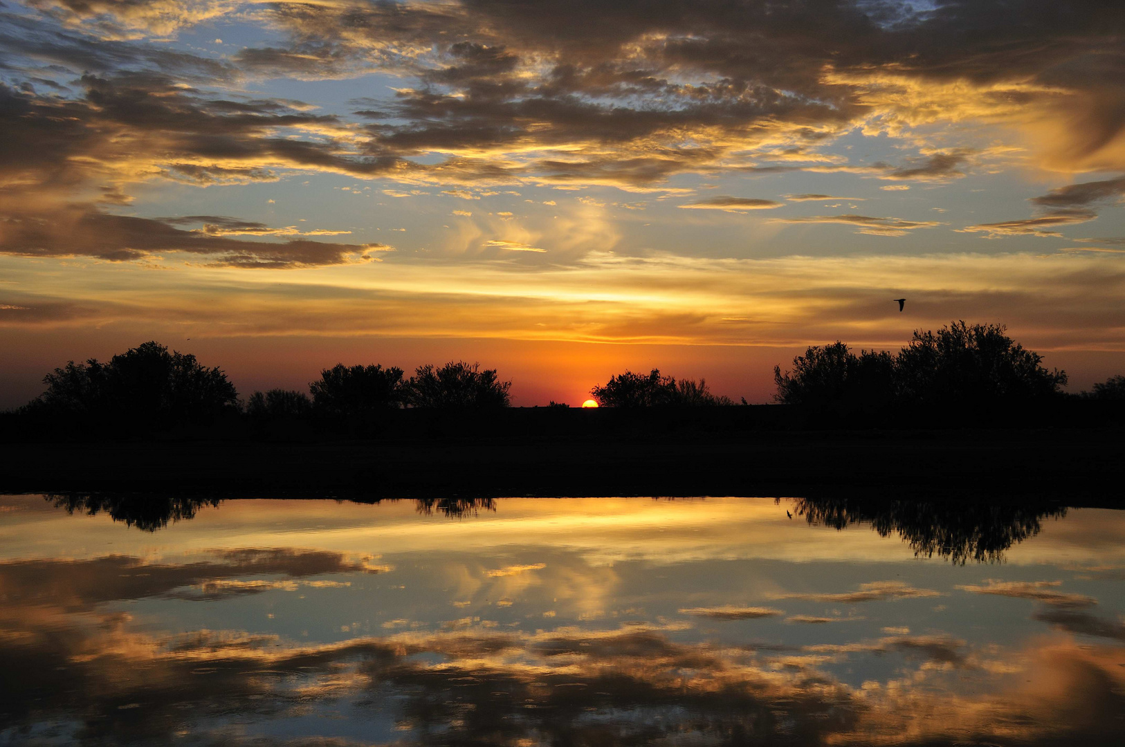 Dramatic Sunset