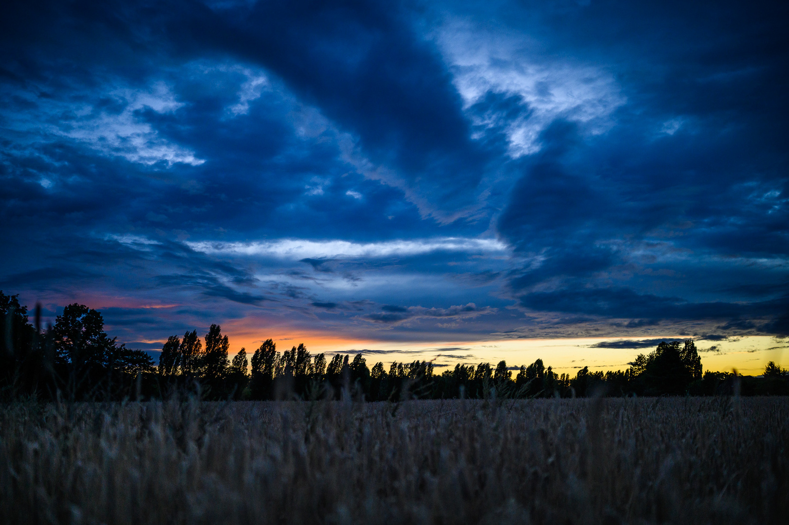 Dramatische Abendstimmung am Getreidefeld