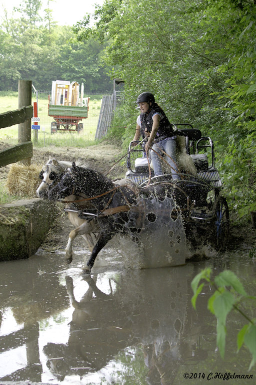 Dramatische Einfahrt am Wassergraben