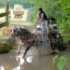 Dramatische Einfahrt am Wassergraben