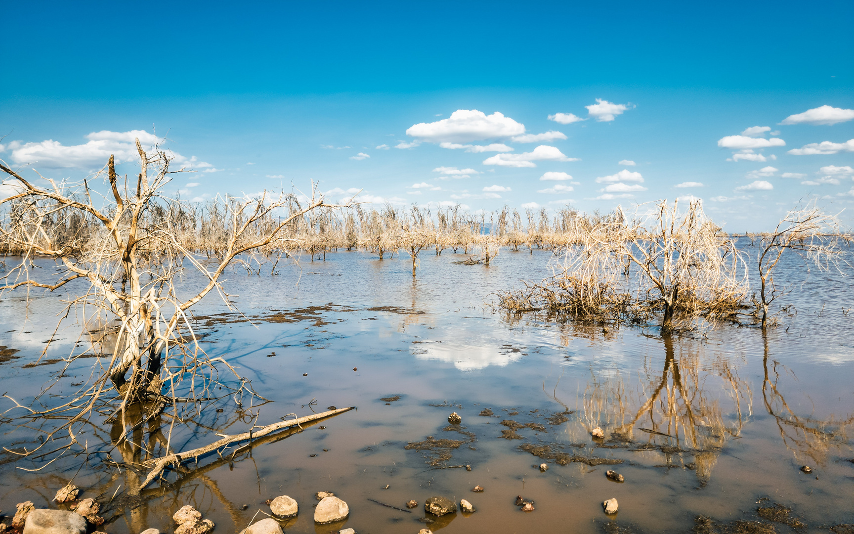 Dramatische Landschaft im Lake Manyara Nationalpark