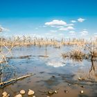 Dramatische Landschaft im Lake Manyara Nationalpark