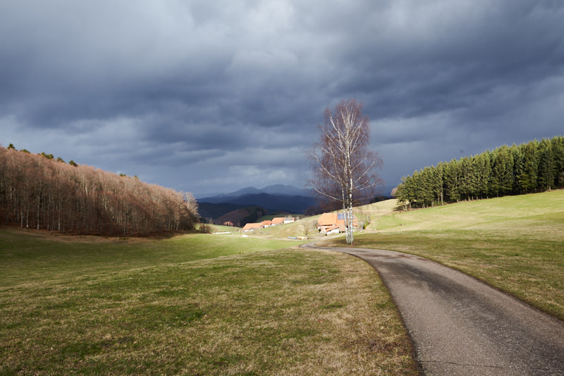 Dramatische Lichtstimmung im Schwarzwald I (Hofstetten)