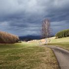 Dramatische Lichtstimmung im Schwarzwald I (Hofstetten)