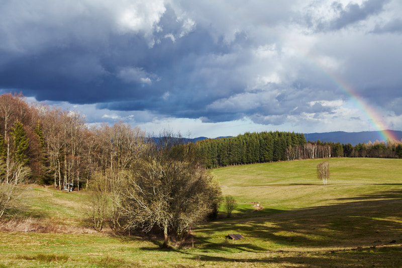 Dramatische Lichtstimmung im Schwarzwald II mit Regenbogen (Hofstetten)